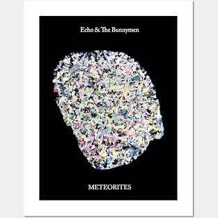 Echo Bunnymen Posters and Art